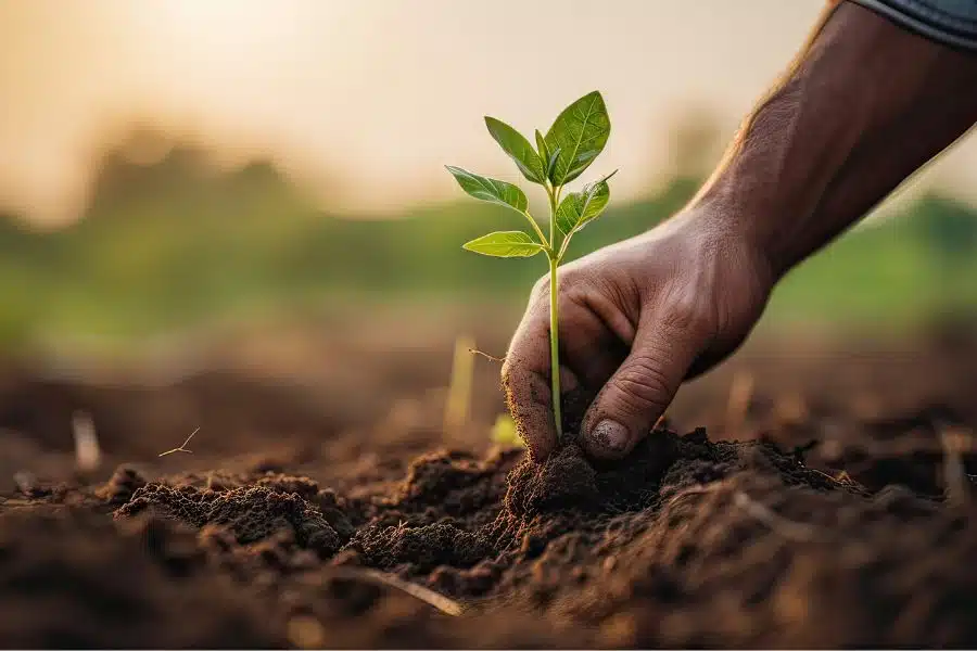 agriculture durable - Netcyber Invest